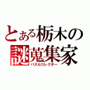 とある栃木の謎蒐集家（パズルコレクター）