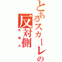 とあるスカーレットの反対側（色隠れ）