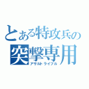 とある特攻兵の突撃専用銃（アサルトライフル）