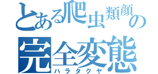 とある爬虫類顔の完全変態（体）（ハラタクヤ）