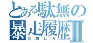 とある駄無の暴走履歴Ⅱ（自刎しろ）