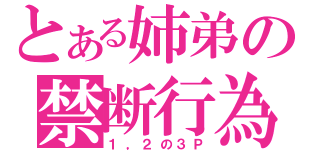 とある姉弟の禁断行為（１，２の３Ｐ）