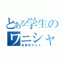 とある学生のワニシャン状態（宿題終わらん）