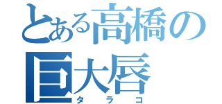 とある高橋の巨大唇（タラコ）