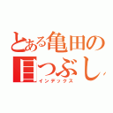 とある亀田の目つぶし（インデックス）