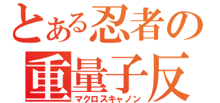 とある忍者の重量子反応砲（マクロスキャノン）