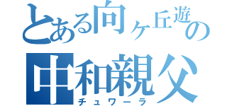 とある向ヶ丘遊園の中和親父（チュワーラ）