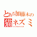 とある加藤木の猫ネズミイジメ（ニャンちゅういじめ）