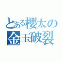 とある櫻太の金玉破裂（）