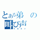 とある弟の叫び声（うるさい）