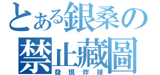 とある銀桑の禁止藏圖（發現炸掉）