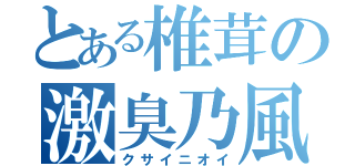 とある椎茸の激臭乃風（クサイニオイ）