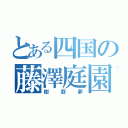 とある四国の藤澤庭園（樹庭夢）