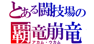 とある闘技場の覇竜崩竜（アカム・ウカム）