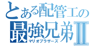 とある配管工の最強兄弟Ⅱ（マリオブラザーズ）