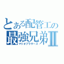 とある配管工の最強兄弟Ⅱ（マリオブラザーズ）