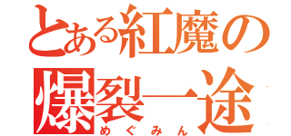 とある紅魔の爆裂一途（めぐみん）