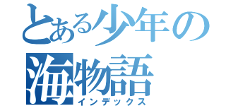 とある少年の海物語（インデックス）
