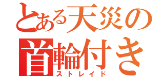 とある天災の首輪付き（ストレイド）