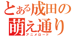 とある成田の萌え通り（アニメロード）