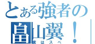 とある強者の畠山翼！！（実はスぺ）