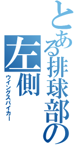 とある排球部の左側（ウイングスパイカー）