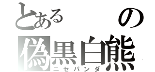 とあるの偽黒白熊（ニセパンダ）