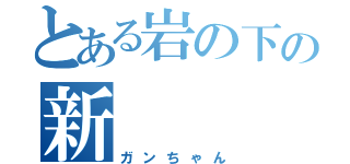 とある岩の下の新（ガンちゃん）