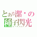 とある潔咪の種子閃光（シードフレア）