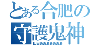 とある合肥の守護鬼神 （山田あああああああ）