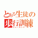 とある生徒の歩行訓練（ウォーキング）