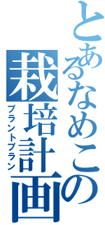 とあるなめこの栽培計画Ⅱ（プラントプラン）