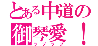 とある中道の御琴愛！（ラブラブ）