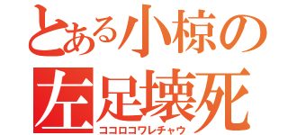 とある小椋の左足壊死（ココロコワレチャウ）