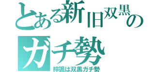 とある新旧双黒のガチ勢（梓颯は双黒ガチ勢）