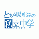 とある馬鹿達の私立中学（ハプニング）