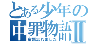 とある少年の中罪物語Ⅱ（宿題忘れました）