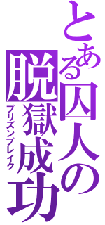 とある囚人の脱獄成功（プリズンブレイク）