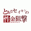 とあるセイキンの性金狙撃（セイキンショット）