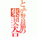 とある野良猫の集団会合（パラダイス）