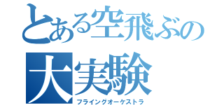 とある空飛ぶの大実験（フライングオーケストラ）