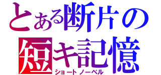 とある断片の短キ記憶（ショートノーベル）