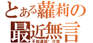 とある蘿莉の最近無言（不知道該說什麼）