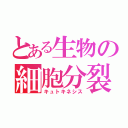 とある生物の細胞分裂（キュトキネシス）