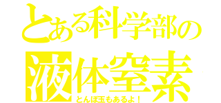 とある科学部の液体窒素（とんぼ玉もあるよ！）