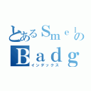 とあるＳｍｅｌｌｙのＢａｄｇｅｒ（インデックス）