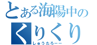 とある海陽中のくりくりボウズ（しゅうたろーー）