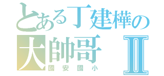 とある丁建樺の大帥哥Ⅱ（國安國小）