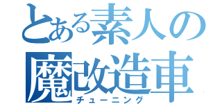 とある素人の魔改造車（チューニング）