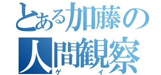 とある加藤の人間観察（ゲイ）